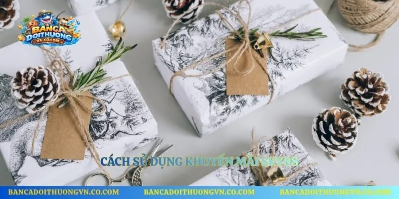 Cách sử dụng khuyến mãi Sky88