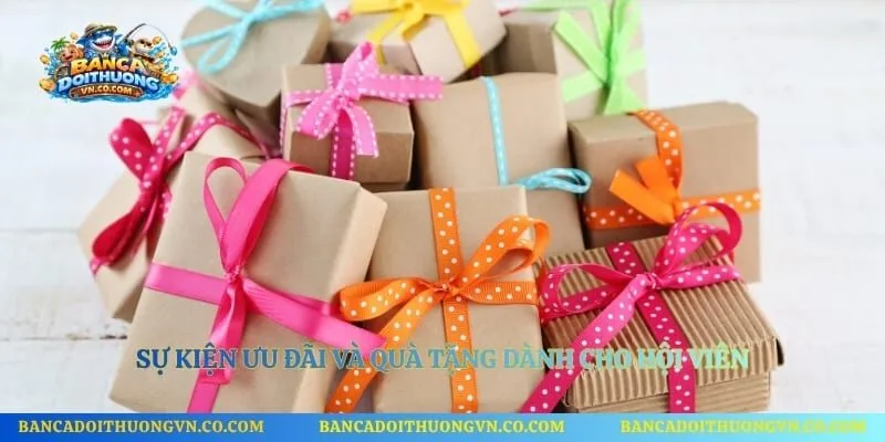 Sự kiện ưu đãi và quà tặng dành cho hội viên